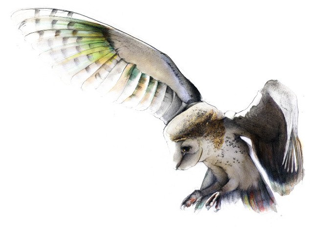 Екатерина Самсонова | Москва