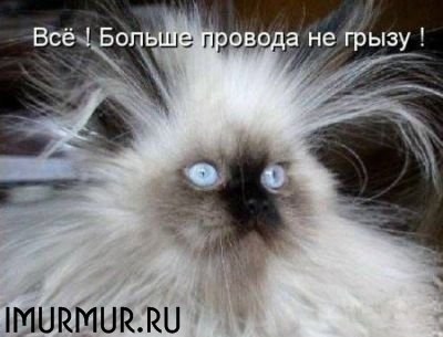 Виктория Бортникова | Днепр (Днепропетровск)