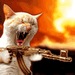 Лёха Шукуров фотография #42