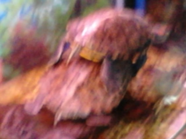 Яна Николаева | Москва