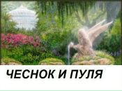 Фотография Соня ***