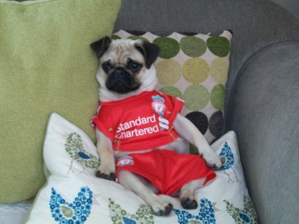 Артем Семакин | Пермь