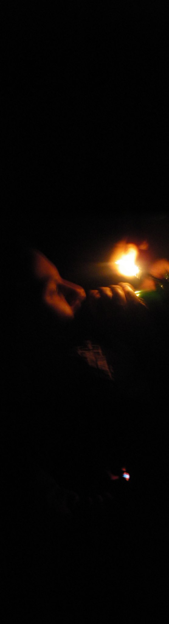 Сергей Вишняков | 