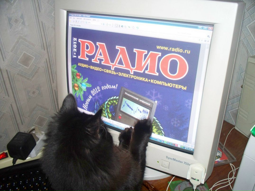 Влад Фролков Padre_Mujerte | Санкт-Петербург