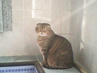 Андрей Чебыкин | Самара