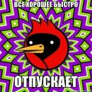 Фотография Аня Науменко