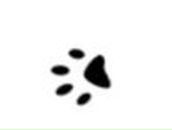 Евгения Семенец | Смоленск