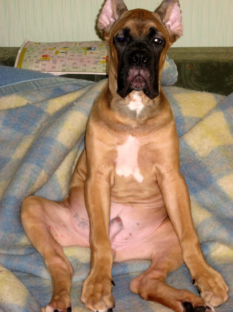 Маргарита Батц | Новосибирск