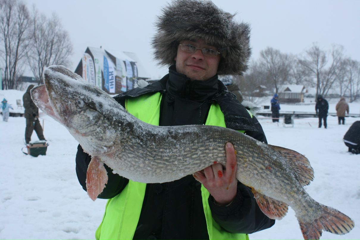 Макс Гладышев 323 | Москва