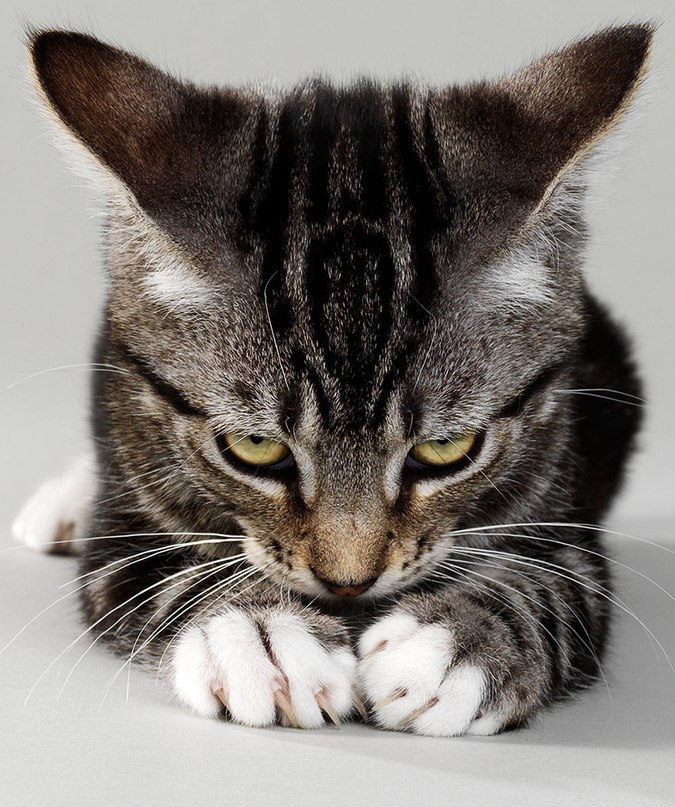 Дмитрий Тютин | Архангельск