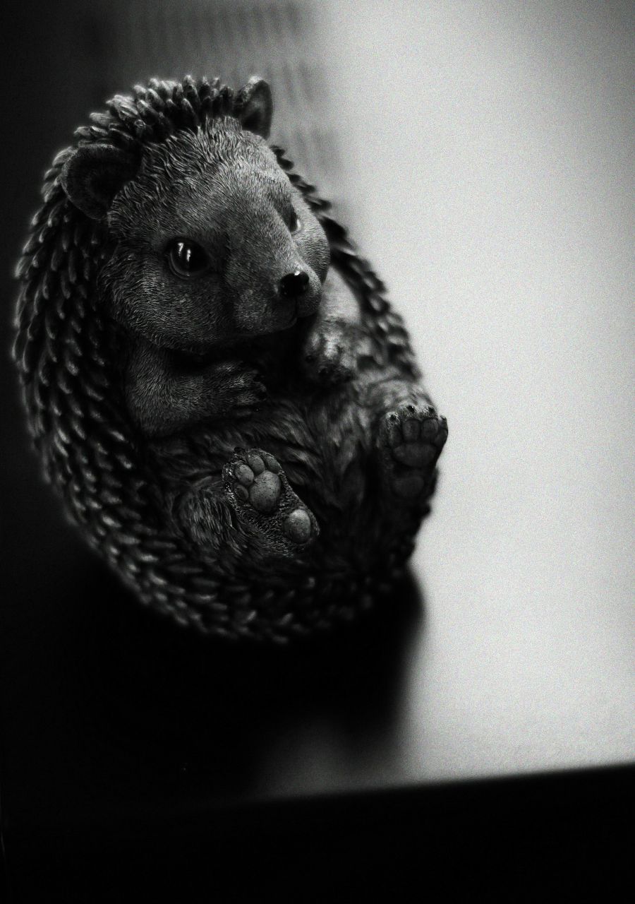 Женя Матасов | Bologna