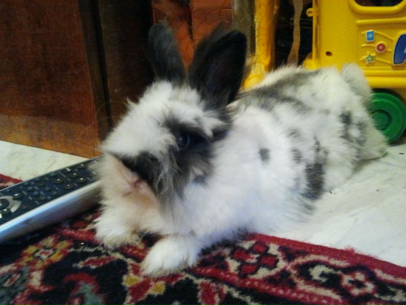 №64, Ариша Иевская, 34 года, Южно-Сахалинск №64, Ариша Иевская, 34 года, Южно-Сахалинск