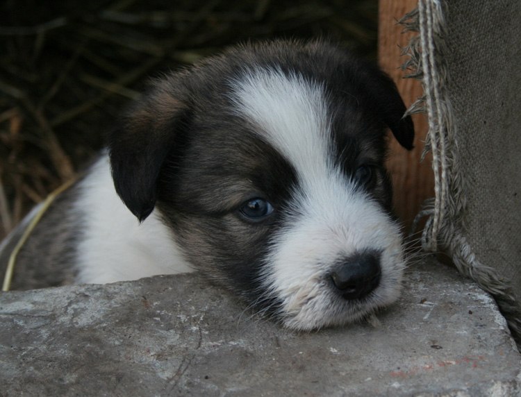 Евгения Тринос | Санкт-Петербург