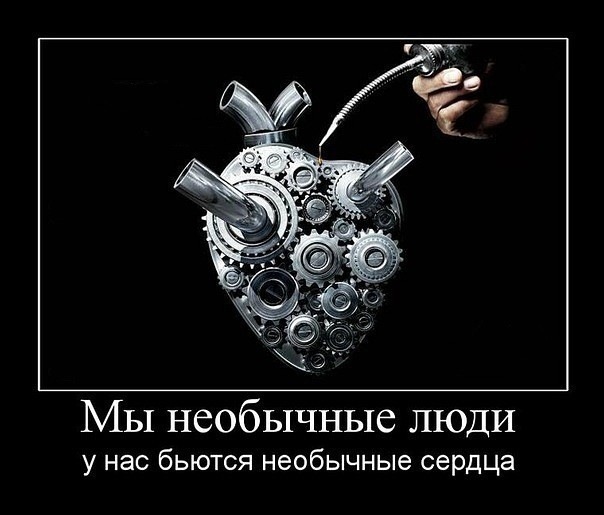 №3, Кирилл Немов, 35 лет, Красноярск №3, Кирилл Немов, 35 лет, Красноярск