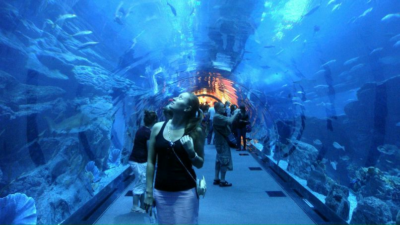 Наталья Тайченачева atika | Новосибирск