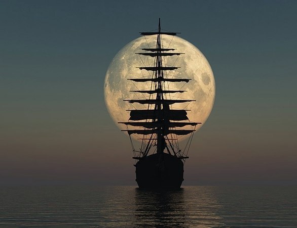 Ирина Елисеева | Москва