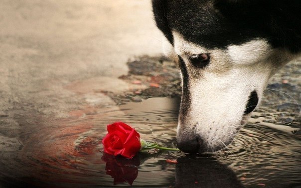 Эдик Прикалист | Ужгород