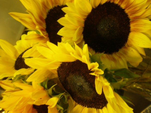 №15, Александра Андриянова, Москва, Россия №15, Александра Андриянова, Москва, Россия