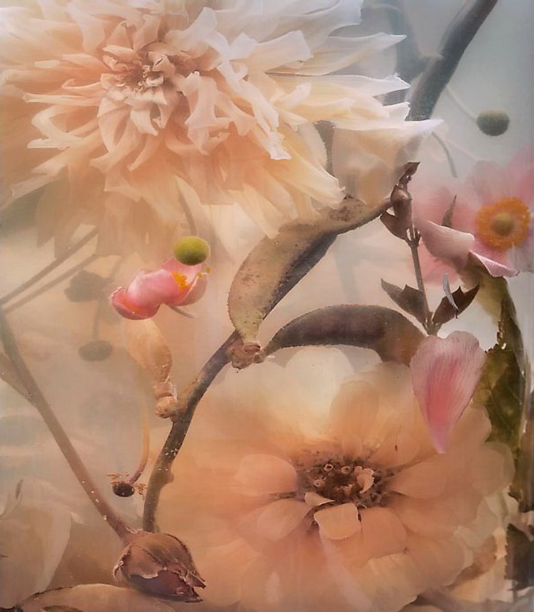 Ирина Мардасова | Санкт-Петербург