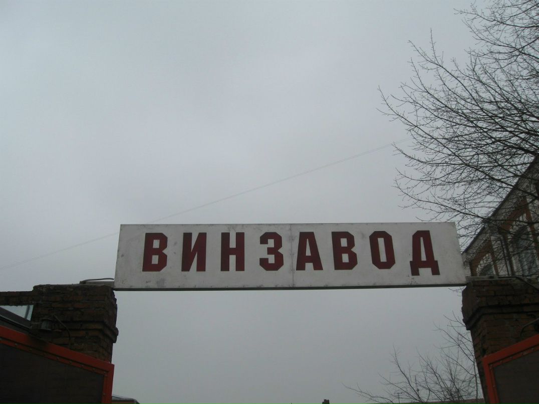 Лена Анкудинова | Самара