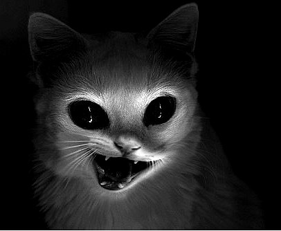 Аленочка Воронько | Омск