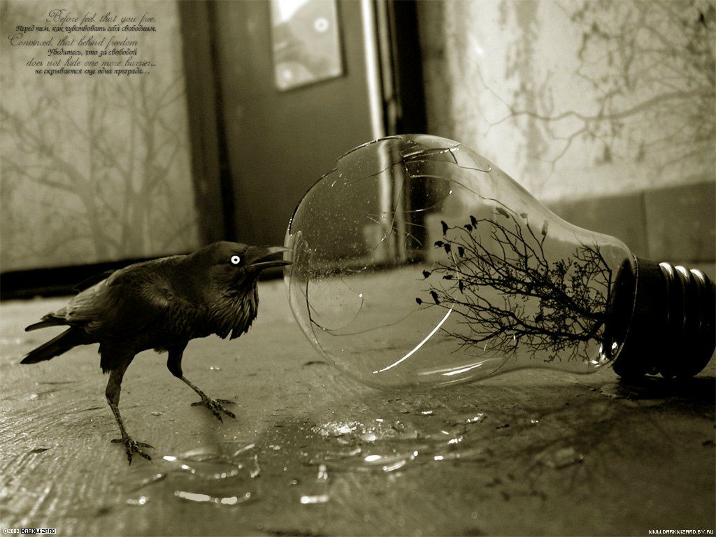 Єгор Шаровський | Чортков