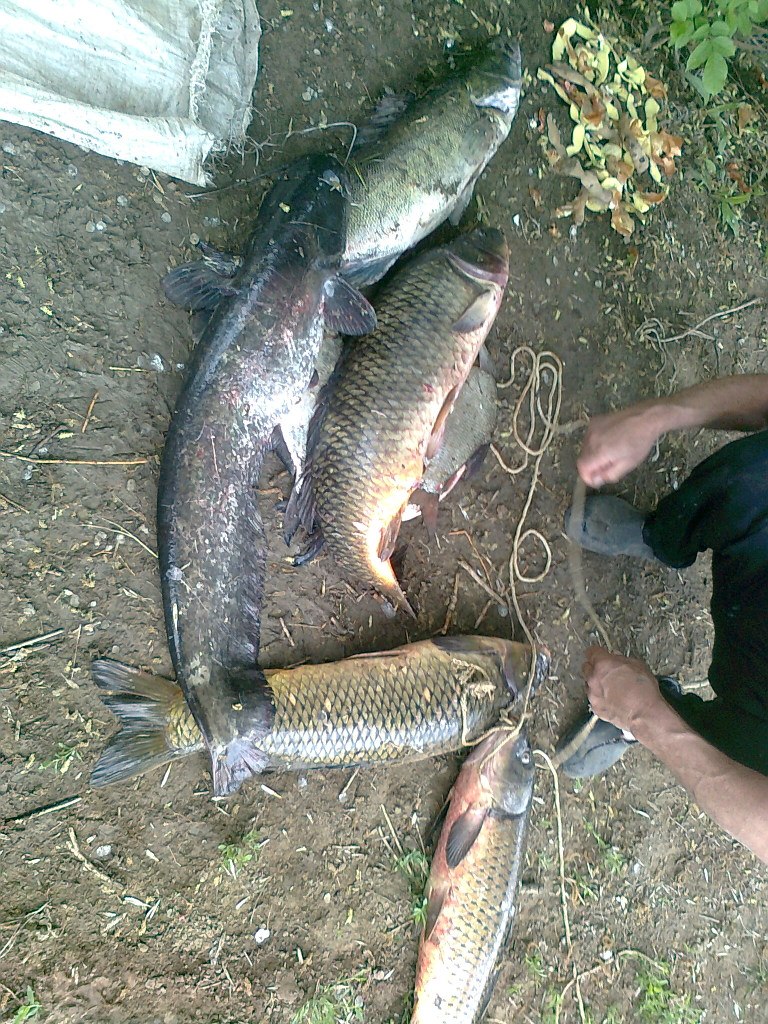 Артем Шлеменко | Самара