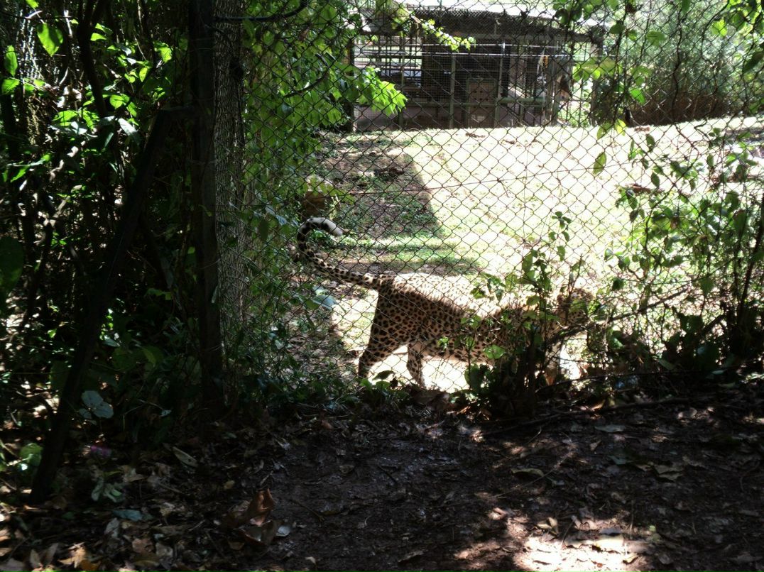 Сергей Дидух | Броды