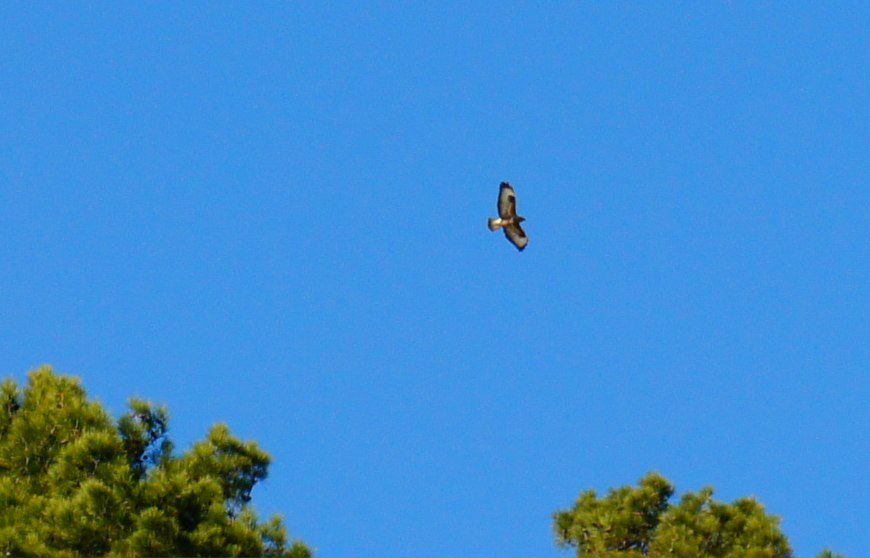 Рустам Шарафутдинов | Новороссийск