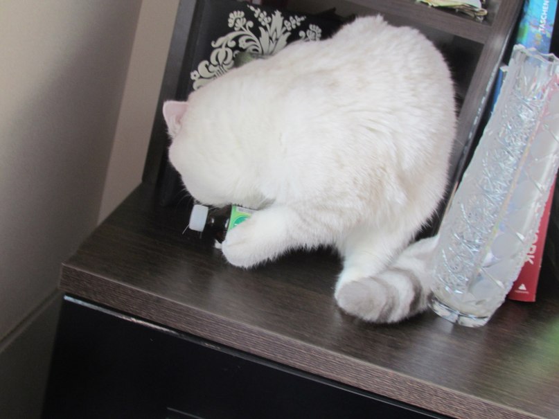 Валерия Дашут ܓ | Москва