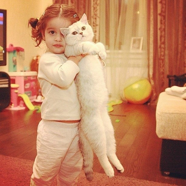 Севиля Енгалычева | 