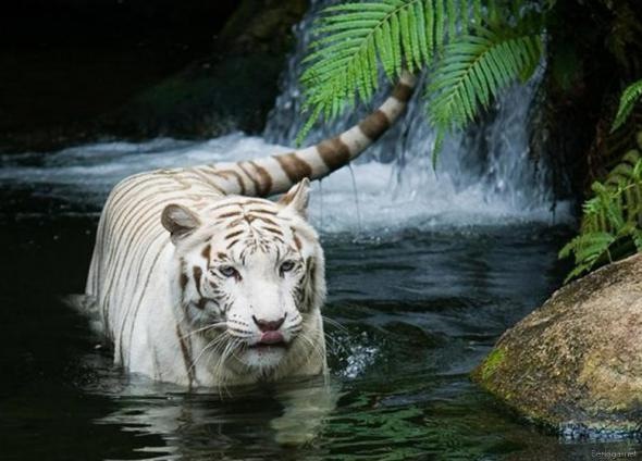 №6, Ikuto Нету №6, Ikuto Нету