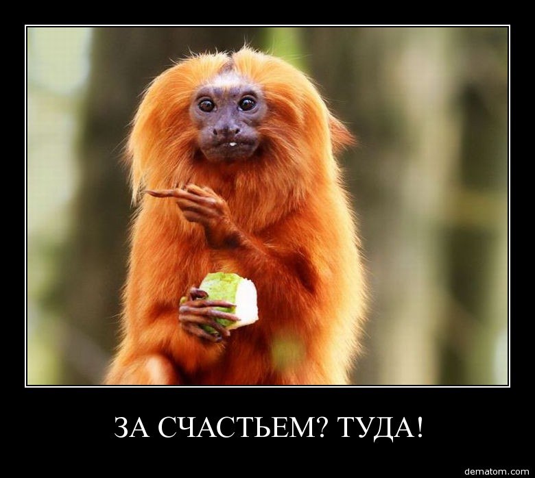 Игорь Каленский | Днепр (Днепропетровск)