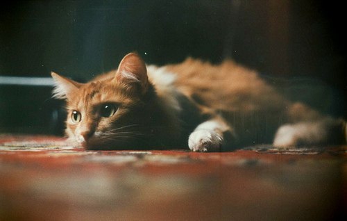 Дениска Бондарев RecOn | Железногорск