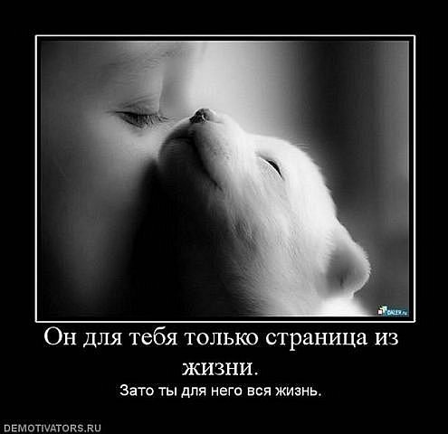№17, Анюта Марковская, 35 лет, Запорожье №17, Анюта Марковская, 35 лет, Запорожье