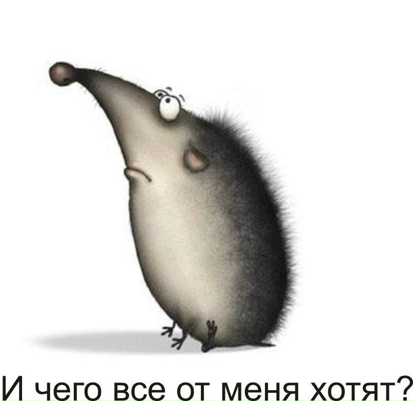 Айгуль Закирова | Елабуга