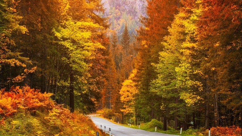 Beautiful Relaxing Music, Peaceful Soothing Instrumental Music, Golden Autumn October By Tim