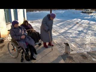 180226 Битва за приют