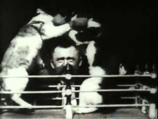 Боксирующие коты (The Boxing Cats) (1894)