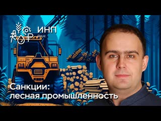 Как санкции повлияли на лесную промышленность России