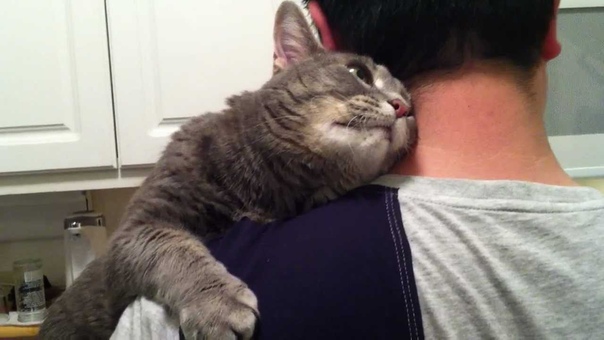 Ophie wants attention and