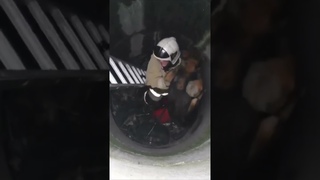 В Шахтинске спасатели вызволили из колодца собаку