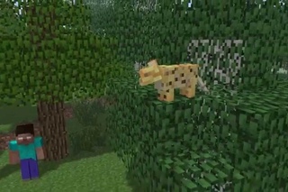 Minecraft Мультики - Школа монстров: Спасение оцелота (Майнкрафт анимация)