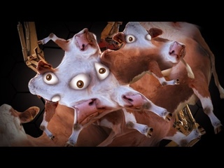 MOO!  Странный юмор.