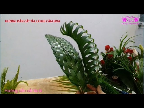 Hướng dẫn cách cắt tỉa lá cau, lá lan (lá phát tài) khi cắm hoa THUY TIEN