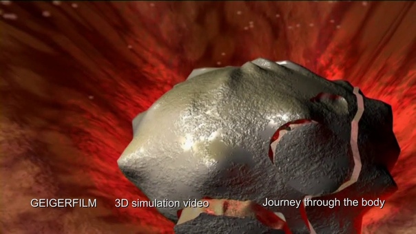 Journey trough the human body in 3 D Flight Motion