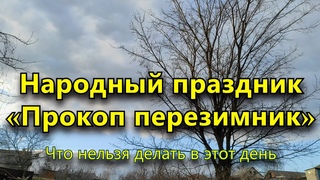 Народный праздник Прокоп перезимник 12 марта. Что нельзя делать в этот день.