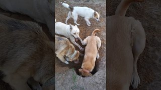 Строители!!! Вам нужны копатели? Или: Как мы строим метро☺