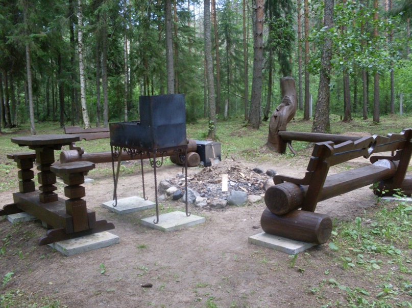 Галина Проневич | Вологда