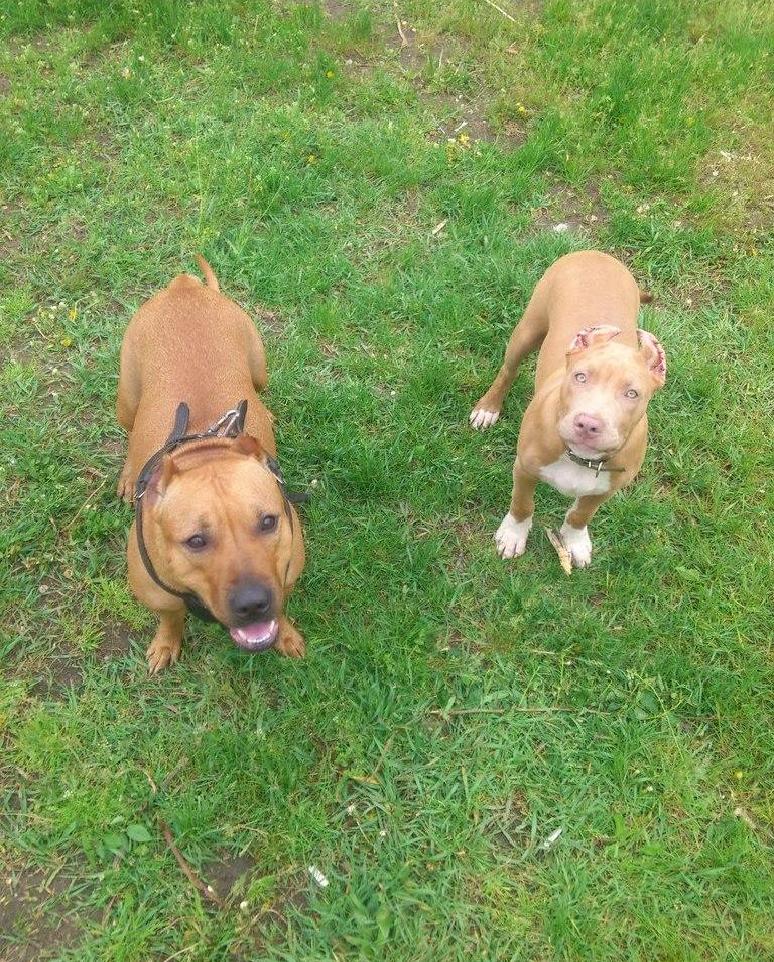 Александр Кукота |